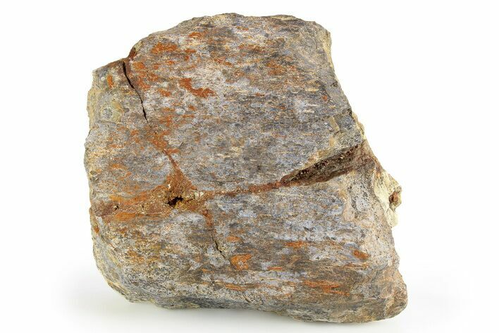 Dinosaur Bone Section - Boulahfa, Morocco #252586